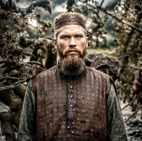 viking,vikings,east-european shepherd,woodsman,dwarf sundheim,hieromonk,king arthur,viking grave,germanic tribes,archimandrite,lapponian herder,wind rose,male elf,gamekeeper,merle,htt pléthore,merle black,wstężyk huntsman,halden hound,konstantin bow