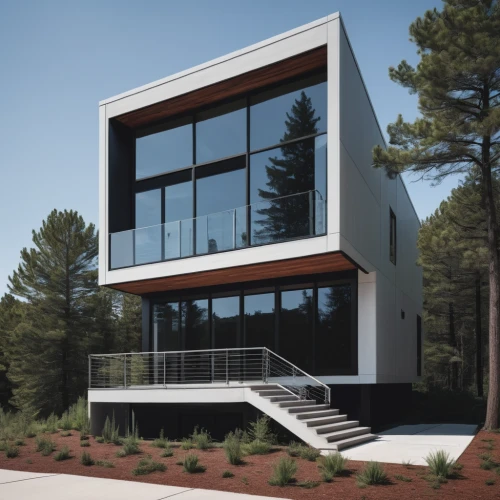 modern house,cubic house,modern architecture,prefabricated buildings,dunes house,frame house,3d rendering,smart house,cube house,glass facade,modern building,contemporary,smart home,archidaily,mid century house,eco-construction,residential house,metal cladding,timber house,arhitecture,Illustration,Black and White,Black and White 12