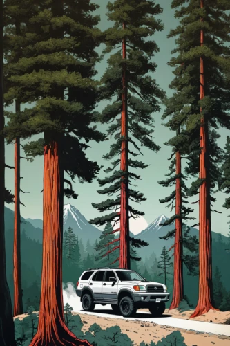 redwoods,redwood,redwood tree,sugar pine,pine trees,travel poster,coniferous forest,spruce forest,pines,pine forest,big trees,park ranger,patrol cars,old-growth forest,yosemite park,silvertip fir,david bates,evergreen trees,northwest forest,nationalpark