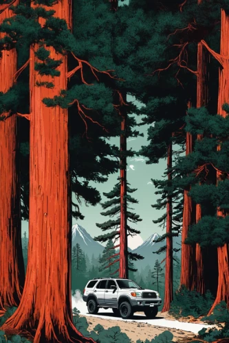 redwoods,redwood,redwood tree,sugar pine,pines,spruce forest,pine forest,pine trees,cartoon forest,coniferous forest,forest,forests,forest road,travel poster,the forests,old-growth forest,the forest,trees,the trees,big trees