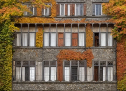 row of windows,apartment building,autumn decoration,geneva,autumn frame,ludwig erhard haus,an apartment,autumn mood,autumnal,zurich,windows,autumn decor,old windows,apartments,apartment house,french windows,appartment building,autumn colors,seasonal autumn decoration,lucca,Common,Common,Natural