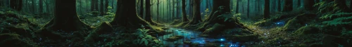 forest of dreams,forest,bamboo forest,forest dark,haunted forest,fairy forest,forest floor,green forest,elven forest,the forest,enchanted forest,holy forest,forest glade,fir forest,forests,coniferous forest,old-growth forest,redwoods,fairytale forest,foggy forest