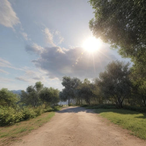 olive grove,country road,dirt road,the road,the road to the sea,rural landscape,rural,mountain road,countryside,lycian way,open road,road,road forgotten,empty road,rome 2,long road,tuscan,forest road,ancient olympia,winding road,Common,Common,Natural