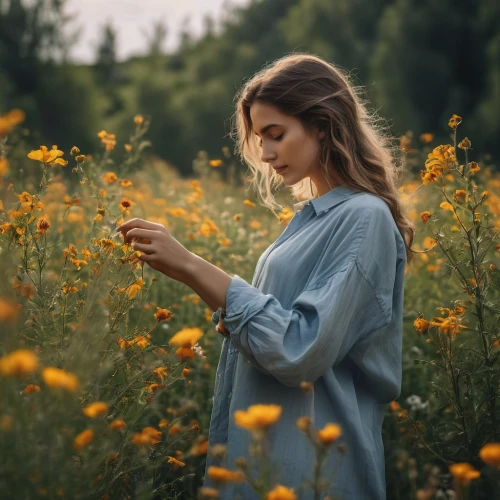 girl in flowers,girl picking flowers,beautiful girl with flowers,picking flowers,holding flowers,daisies,field of flowers,yellow daisies,golden flowers,flower background,wildflowers,girl in the garden,scattered flowers,meadow flowers,yellow petals,flower field,wild flowers,flower in sunset,yellow flowers,splendor of flowers,Photography,General,Natural