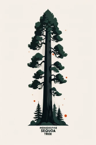 sugar pine,redwood,redwoods,pine trees,spruce forest,evergreen trees,spruce-fir forest,oregon pine,redwood tree,coniferous forest,pines,fir trees,fir forest,pine,spruce trees,treetops,evergreens,trees,pine tree,pine family,Illustration,Vector,Vector 06