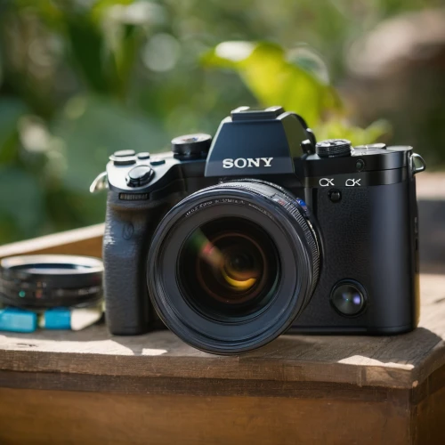 sony alpha 7,mirrorless interchangeable-lens camera,sony camera,sony cybershot dsc-hx90,full frame camera,sony,full frame,photography equipment,photo equipment with full-size,point-and-shoot camera,single-lens reflex camera,photographic equipment,digital slr,helios 44m7,helios 44m-4,canon 5d mark ii,background bokeh,helios 44m,reflex camera,camera accessories,Photography,Documentary Photography,Documentary Photography 01