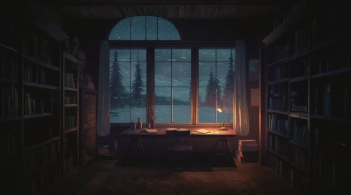 abandoned room,cold room,a dark room,winter window,study room,dark cabinetry,reading room,sleeping room,winter house,bookshelves,penumbra,attic,one room,bedroom,nightlight,empty room,evening atmosphere,bookcase,winter light,open book