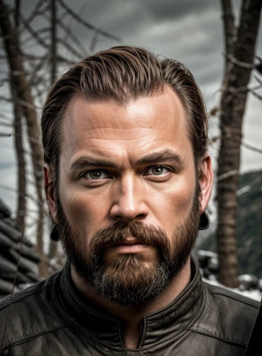 viking,chainlink,crossbones,east-european shepherd,htt pléthore,leonardo,athos,pollux,vikings,thorin,aquaman,viking ship,lokportrait,konstantin bow,beef rydberg,portrait background,norse,noah,composite,male character