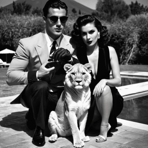 roaring twenties couple,jane russell-female,hedy lamarr-hollywood,mobster couple,jane russell,hedy lamarr,jean simmons-hollywood,vintage man and woman,clue and white,vintage cats,50's style,elizabeth taylor,cary grant,vintage 1950s,elizabeth taylor-hollywood,vintage boy and girl,joan collins-hollywood,roaring twenties,1950s,vintage cat,Photography,Black and white photography,Black and White Photography 08