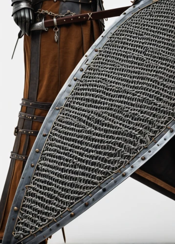 scabbard,chain mail,reed belt,rope detail,paraglider wing,motorcycle rim,celtic harp,hammered dulcimer,breastplate,horse harness,viking ship,steel rope,woven fabric,birka carrier,harp of falcon eastern,composite material,ammunition belt,samurai sword,cordwainer,metal grille,Photography,General,Fantasy