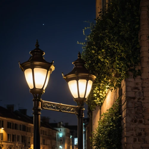 street lamps,streetlamp,street lamp,street light,iron street lamp,outdoor street light,streetlight,street lights,gas lamp,rome at night,rome night,lamp post,lamppost,trastevere,light posts,landscape lighting,light post,aix-en-provence,illuminated lantern,lucca,Photography,General,Natural