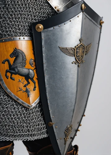 heraldic shield,head plate,shield,helmet plate,knight armor,knight tent,heraldry,armour,cent,norse,shields,armor,crusader,viking,equestrian helmet,heraldic,armored animal,heraldic animal,knight,centurion,Photography,General,Fantasy
