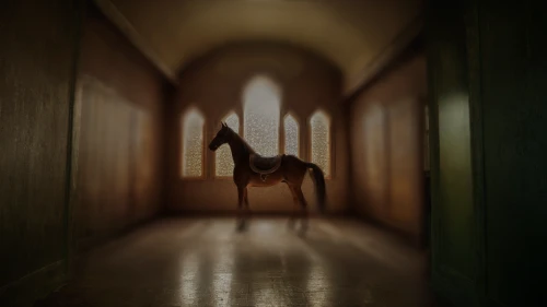 creepy doorway,handstand,asylum,girl upside down,conceptual photography,hallway,threshold,the threshold of the house,escaping,abandoned room,phobia,escape,apparition,ballet master,open door,crawl,gymnastics room,abduction,penumbra,hanged man