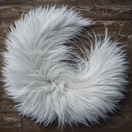 foxtail,garden-fox tail,ostrich feather,fur,white fur hat,fluffy tail,pompom,white feather,swan feather,bunny tail,white hairy,cowhide,klepon,angora,hare tail grass,feather boa,hare tail grasses,cotton grass,cotton boll,sheep wool,Photography,Documentary Photography,Documentary Photography 27