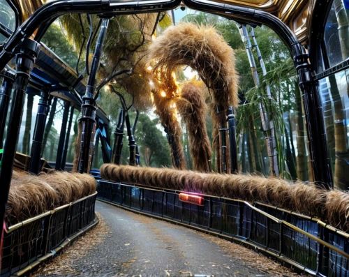 canopy walkway,rides amp attractions,plant tunnel,wild animals crossing,train tunnel,tunnel of plants,funicular,forest road,slide tunnel,animal kingdom,rain forest,tram road,roller coaster,torii tunnel,hanging bridge,tunnel,car train,dragon bridge,road of the impossible,suspension bridge