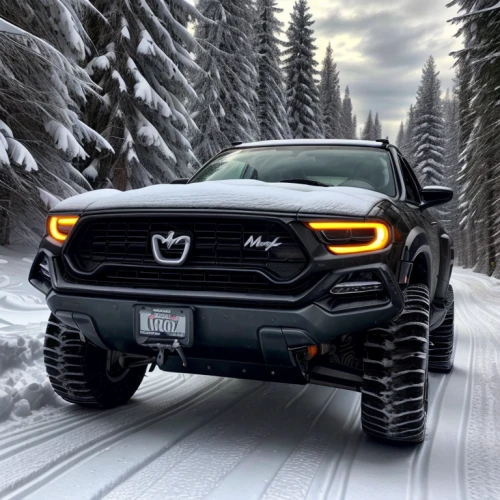 dodge durango,christmas pick up truck,dodge ram srt-10,winter tires,snow trail,dodge ram rumble bee,all-terrain,toyota tacoma,dodge power wagon,jeep trailhawk,dodge,ford ranger,compact sport utility vehicle,snow plow,six-wheel drive,four wheel drive,durango boot,dodge la femme,dodge d series,open hunting car