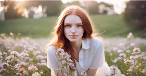 girl in flowers,beautiful girl with flowers,meadow,girl in a long,flower background,girl in the garden,portrait photography,mystical portrait of a girl,field of flowers,meadow rues,young woman,pennyroyal,wild meadow,natural cosmetics,orange blossom,redhead doll,meadow flowers,lily of the field,girl lying on the grass,cuckoo-light elke