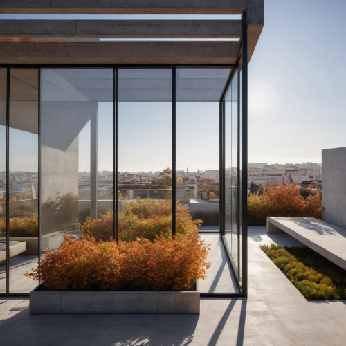 glass facade,corten steel,cubic house,structural glass,archidaily,glass wall,glass facades,roof terrace,roof garden,mirror house,modern architecture,roof landscape,modern house,glass panes,frame house,exposed concrete,daylighting,dunes house,cube house,glass building,Photography,General,Natural