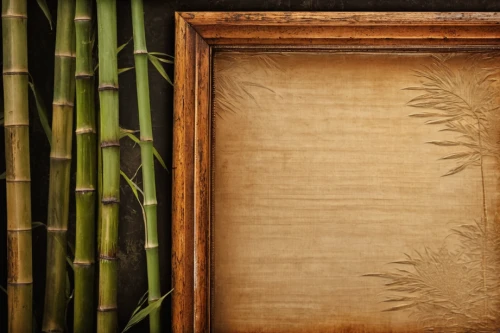 bamboo curtain,bamboo frame,art deco frame,gold stucco frame,botanical frame,patterned wood decoration,wooden background,decorative frame,antique background,palm leaf,art deco background,abstract gold embossed,wooden frame,wooden shutters,gold foil art deco frame,chinese screen,bamboo,armoire,wood background,botanical square frame