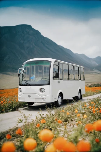 neoplan,the system bus,dennis dart,skyliner nh22,airport bus,flower car,optare tempo,setra,checker aerobus,tour bus service,model buses,shuttle bus,optare solo,camping bus,russian bus,abandoned bus,trolleybus,bus,vdl,minibus