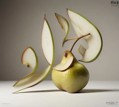 pear cognition,pear,pears,asian pear,apple design,apple pair,golden apple,rock pear,quince decorative,bell apple,still life with onions,pearl onion,peeled,pome fruit family,fragrance teapot,apple half,persian onion,seed pod,still life photography,fallen acorn,Realistic,Foods,Pear
