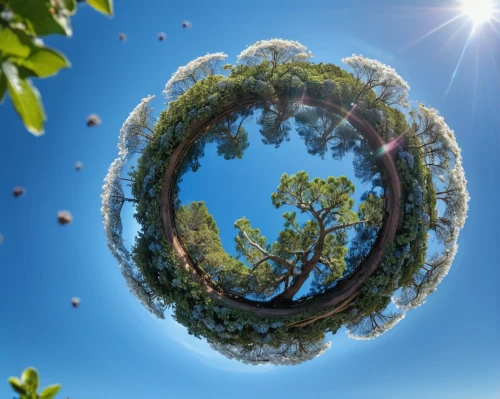 360 ° panorama,little planet,360 °,circle around tree,panoramical,semi circle arch,lensball,earth in focus,small planet,circle,life is a circle,spherical image,a circle,planet eart,panorama from the top of grass,circular,planet earth view,pano,permaculture,torus,Photography,General,Natural