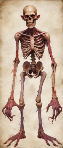 skeletal,cowboy bone,vintage skeleton,skeleltt,skeleton,human skeleton,hag,skeletal structure,bone,anatomical,danse macabre,femur,primitive man,calcium,bones,png image,skull bones,skeletons,old human,pile of bones,Conceptual Art,Fantasy,Fantasy 31