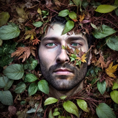 forest man,leafed through,falling on leaves,autumn wreath,fallen leaves,nature and man,undergrowth,round autumn frame,fallen leaf,dead leaves,forest floor,woodsman,autumn frame,overgrown,autumn icon,people in nature,autumn leaves,leaves frame,defoliation,the leaves