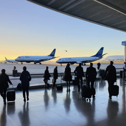 rows of planes,berlin brandenburg airport,airline travel,airport terminal,air transportation,wide-body aircraft,travel insurance,concert flights,airport,airlines,airplanes,china southern airlines,departure,aircraft take-off,747,narrow-body aircraft,air transport,fleet and transportation,haneda,luggage and bags,Photography,Documentary Photography,Documentary Photography 18