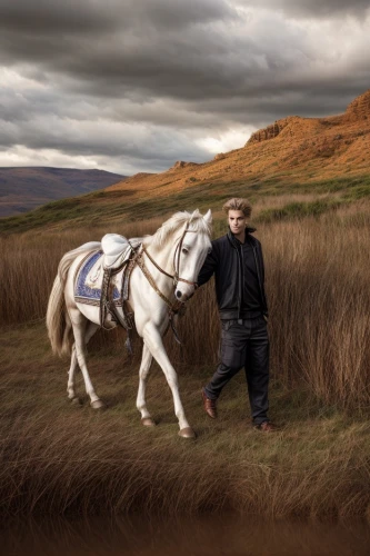 man and horses,horse herder,white horse,iceland horse,a white horse,shepherd romance,lapponian herder,horse drawn,horseman,horse and cart,horse trainer,cart horse,horseback,horse and buggy,cross-country equestrianism,horse-drawn,endurance riding,shetland pony,horse riders,white horses,Common,Common,Fashion