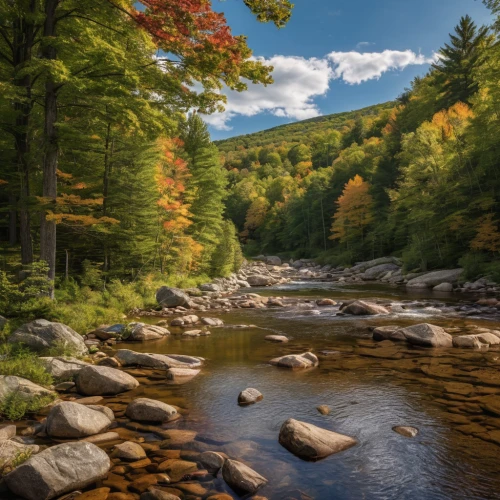 vermont,mountain stream,new england,mountain river,fall landscape,raven river,flowing creek,massachusetts,autumn idyll,slowinski national park,beech mountains,fall foliage,river landscape,autumn landscape,white mountains,paine national park,west virginia,appalachian trail,temperate broadleaf and mixed forest,maine,Photography,General,Natural