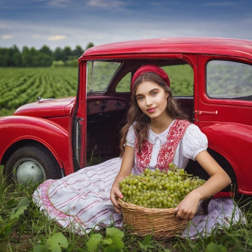 girl and car,grape harvest,girl picking apples,girl in car,farm girl,wine harvest,viticulture,countrygirl,country dress,grape plantation,grape seed oil,grape harvesting machine,ukrainian,suitcase in field,eastern european food,lada,girl picking flowers,ukraine,girl with bread-and-butter,vintage girl,Photography,Documentary Photography,Documentary Photography 26
