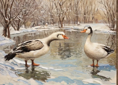 a pair of geese,greylag geese,geese,snow goose,oil painting,bird painting,canadian swans,arctic birds,rallidae,canada geese,snow scene,winter chickens,oil painting on canvas,waterfowl,swan pair,young swans,birds of chicago,water birds,wild ducks,oil on canvas,Common,Common,Natural