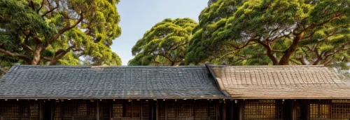 korean folk village,hanok,thatched roof,nara prefecture,wooden roof,thatch roof,timber house,wooden houses,straw roofing,changgyeonggung palace,inle lake,xinjiang,house roofs,baihao yinzhen,suzhou,roof landscape,junshan yinzhen,asian architecture,traditional house,roof tiles,Material,Material,Camphor Wood