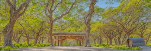 japanese shrine,pathway,bamboo forest,forest path,farm gate,wood gate,tori gate,park bench,meiji jingu,wooden path,forest landscape,landscape background,forest chapel,tree lined path,forest background,hall of supreme harmony,victory gate,chinese screen,walk in a park,pergola,Material,Material,Camphor Wood