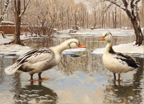 a pair of geese,geese,canada geese,ducks,young swans,wild ducks,canadian swans,mallards,winter chickens,swans,duck females,water birds,bird painting,bath ducks,oil painting,waterfowl,arctic birds,gooseander,goose family,birds of chicago,Common,Common,Natural