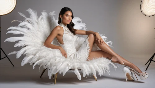 ostrich feather,business angel,white feather,white swan,showgirl,feathers,burlesque,swan feather,flapper,neo-burlesque,angel wings,feathery,feather boa,angel wing,plumage,feather headdress,bird wings,swan lake,feathered,feathers bird,Photography,General,Natural