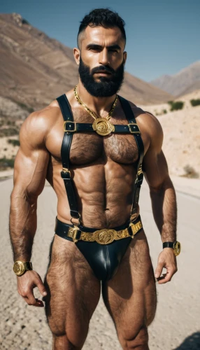 barbarian,gladiator,strongman,bodybuilder,rope daddy,minotaur,persian,wrestler,bodybuilding,muscle man,body building,macho,muscular,body-building,judaean desert,wrestling singlet,harness,ape,pankration,middle eastern monk,Photography,Documentary Photography,Documentary Photography 08