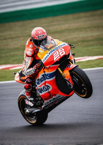 motogp,moto gp,silverstone,grand prix motorcycle racing,marroc joins juncadella at,motorcycle racing,superbike racing,motorcycle racer,ducati,rossi,front wheel,wheelie,ducati 999,endurance racing (motorsport),two stroke,lorenzo,race bike,verstappen,road racing,brakes,Photography,General,Cinematic