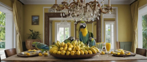 banana tree,banana family,bananas,ripe bananas,dolphin bananas,decorative squashes,banana trees,ananas,banana plant,banana,quince decorative,fruit tree,nanas,fruit bowl,carambola,house pineapple,interior decor,pineapple basket,fruit bowls,carambola grapes,Photography,General,Natural