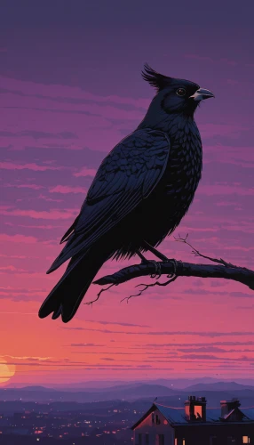 starlings,starling,birds of prey-night,nocturnal bird,magpie,night bird,corvid,corvidae,crows bird,european starling,brewer's blackbird,crows,grackle,king of the ravens,mountain jackdaw,crow,raven bird,city pigeon,3d crow,jackdaw,Conceptual Art,Fantasy,Fantasy 32