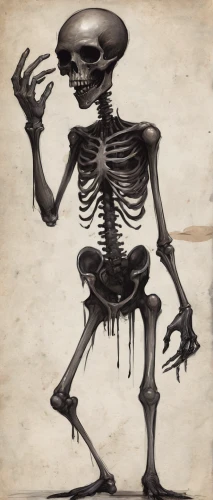 vintage skeleton,skeletal,skeleltt,endoskeleton,danse macabre,x-ray,xray,skeletal structure,skeleton,human skeleton,primitive man,skull bones,calcium,skeletons,bones,bone,skull allover,scull,day of the dead skeleton,bowl bones,Conceptual Art,Fantasy,Fantasy 34