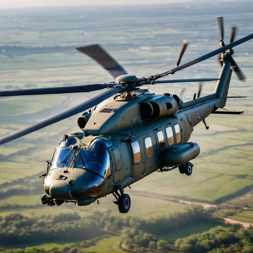 hh-60g pave hawk,mil mi-8,uh-60 black hawk,mil mi-2,mil mi-1,military helicopter,boeing ch-47 chinook,hal dhruv,mil mi-24,ah-1 cobra,mh-60s,aérospatiale super frelon,eurocopter,bell uh-1 iroquois,hiller oh-23 raven,mil mi-4,sikorsky sh-3 sea king,boeing vertol ch-46 sea knight,mh-60s sea hawk,westland terrier,Photography,General,Natural