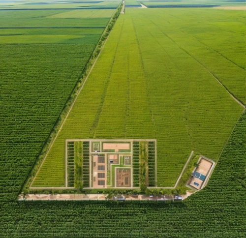 dji agriculture,grower romania,agricultural,agroculture,grain field panorama,fruit fields,plantation,farmlands,green soybeans,chair in field,agriculture,farmland,cereal cultivation,potato field,farms,green fields,pineapple field,organic farm,vegetable field,suitcase in field,Common,Common,Natural