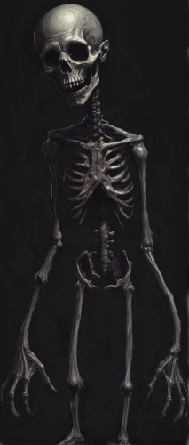 skeleltt,skeletal,skeleton,vintage skeleton,calcium,human skeleton,bone,fetus skull,skull bones,skull statue,skeletons,chair png,skeletal structure,endoskeleton,bowl bones,et,bones,png image,hag,scull,Conceptual Art,Fantasy,Fantasy 34