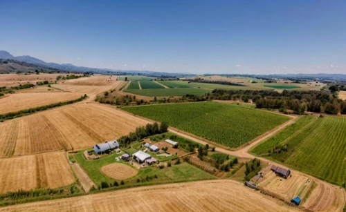 grain field panorama,stellenbosch,southern wine route,catarpe valley,dji agriculture,aerial photography,drone image,farmstead,stock farming,organic farm,drone photo,aerial photograph,drone view,constantia,country estate,tona organic farm,agricultural engineering,aerial shot,farmlands,panorama from the top of grass