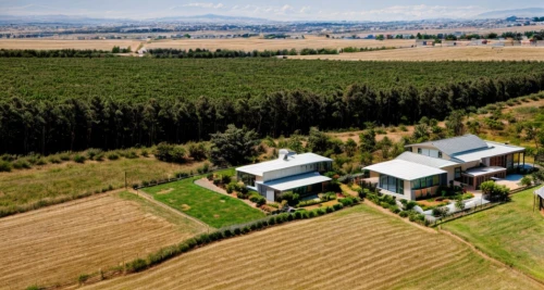 bendemeer estates,aerial image,country estate,aerial photograph,stellenbosch,aerial view,private estate,home of apple,winery,cube house,dji agriculture,wine growing,bird's-eye view,aerial shot,wine-growing area,drone image,roman villa,view from above,vineyards,agricultural engineering