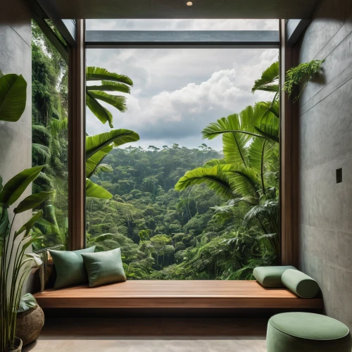 tropical greens,tropical jungle,costa rica,green living,rain forest,tropical house,bamboo curtain,rainforest,ubud,greenforest,exotic plants,vietnam,window view,greenery,green waterfall,sitting room,valdivian temperate rain forest,cabana,eco hotel,luxury bathroom,Photography,General,Natural