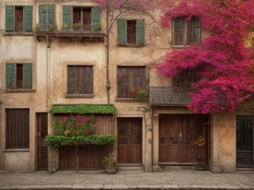 provence,aix-en-provence,bougainvilleas,buildings italy,bougainvillea,shutters,italy,trastevere,south france,italia,verona,provencal life,tuscany,arles,september in rome,sicily window,italy liguria,lombardy,france,tuscan,Common,Common,Natural