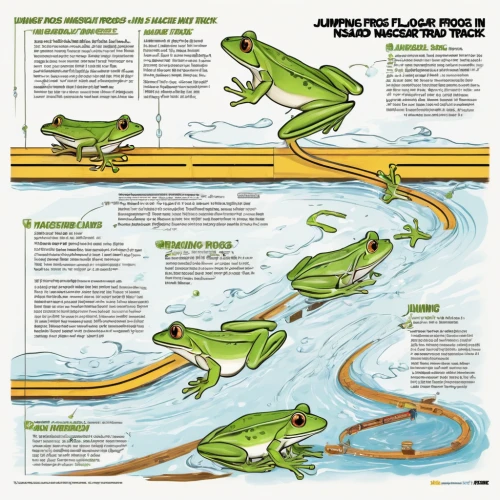 amphibians,american alligators,amphibian,true salamanders and newts,wallace's flying frog,south american alligators,vector infographic,alligators,fluvial landforms of streams,water courses,bullfrog,crocodiles,raft guide,frogs,infographic elements,inforgraphic steps,southern leopard frog,alligator clamp,the ugly swamp,infographics,Unique,Design,Infographics